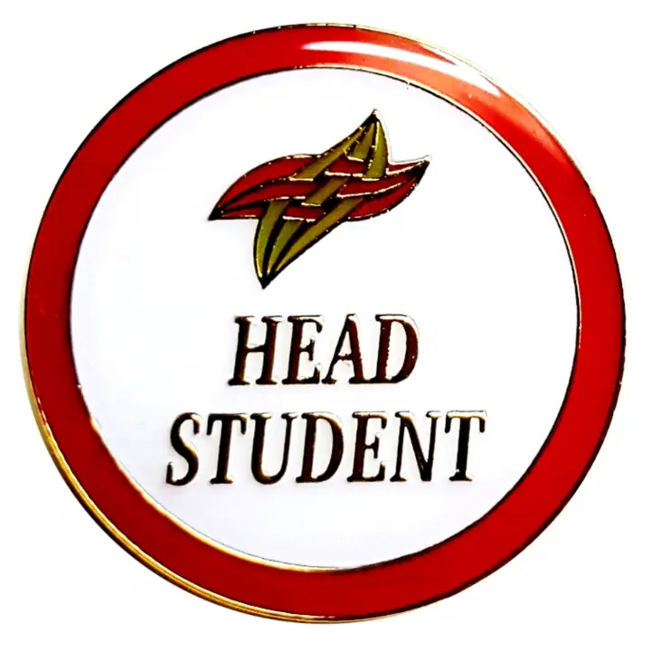 Hard enamel school badge with a lion crest and a polished gold rim