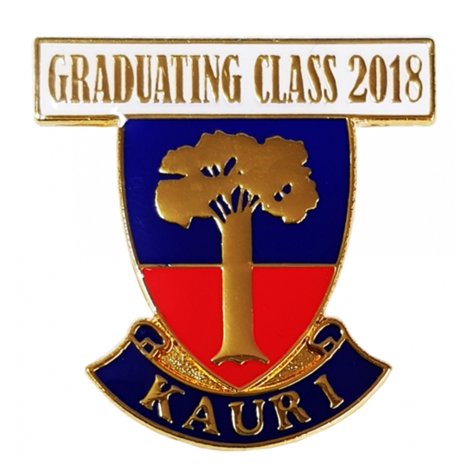 School Badge 6