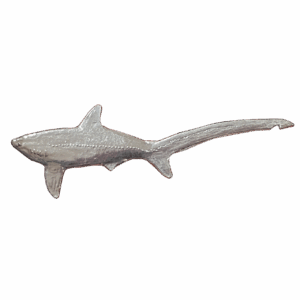 Thresher Shark
