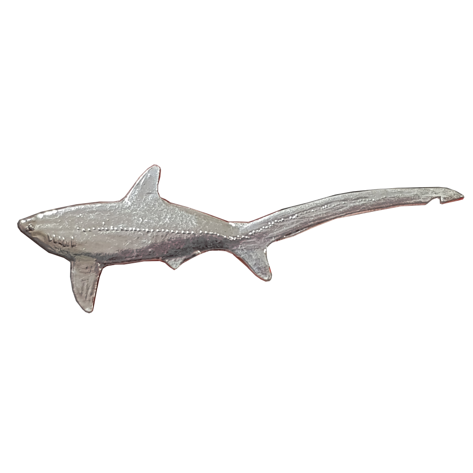 Thresher Shark