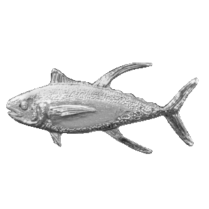 Yellow Fin Tuna