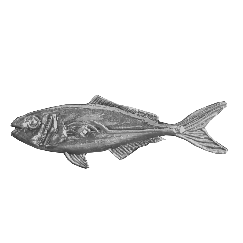 Yellow Tail