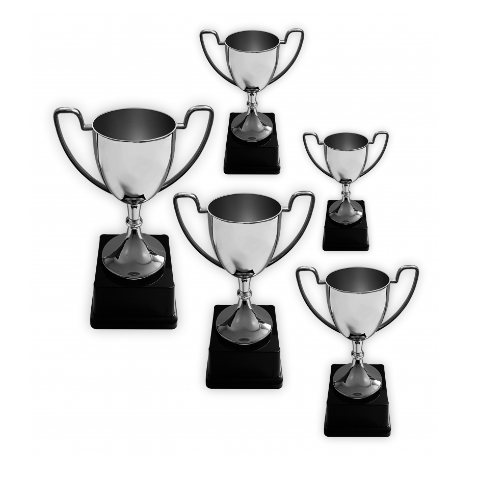 Silver Trophy Cup